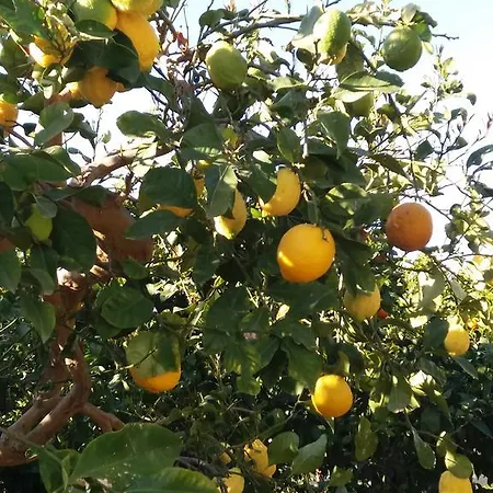 Bed & Breakfast Maria Paola