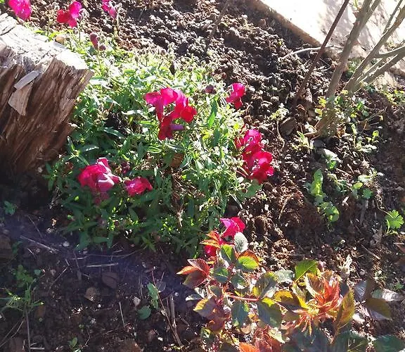 Couette-café Maria Paola Castelluzzo