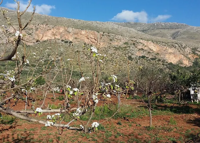 Frühstückspension Maria Paola 3*