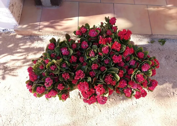 Frühstückspension Maria Paola Castelluzzo